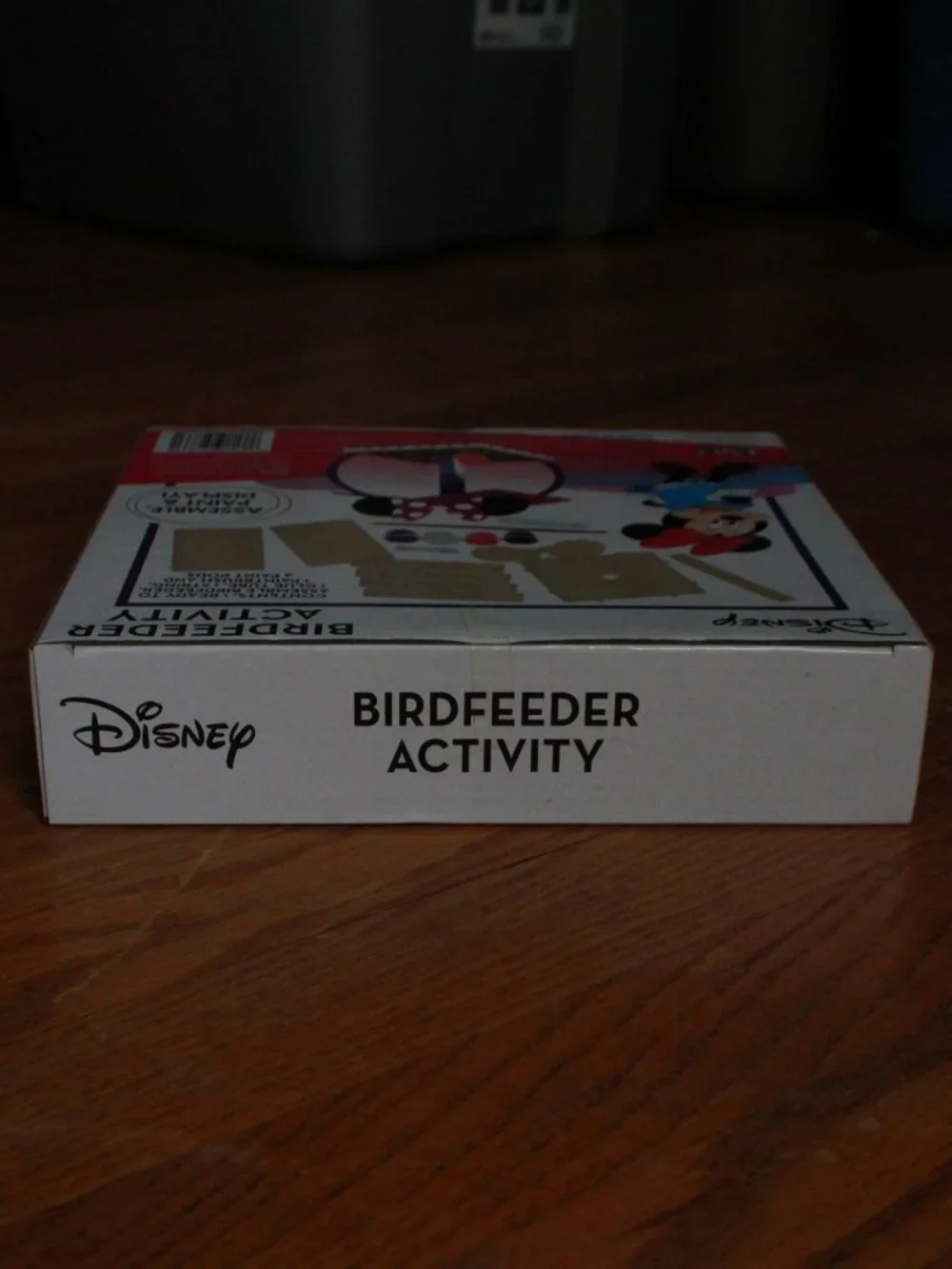 Disney Minnie Mouse Themed Birdfeeder Building Kit